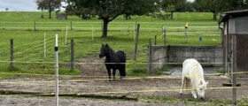 Pferdepension Strohwilen