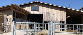 Pensions- und Reitstall Dorfhof