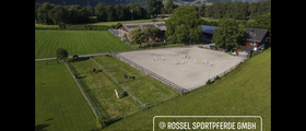 Rossel Sportpferde GmbH