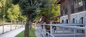 Pferdezentrum Weierhof