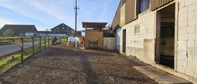 Offenstall für Freizeitreiter