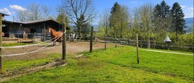 Auslaufbox für 2 Pferde