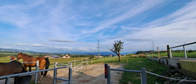 Pferdepension Kestenberg