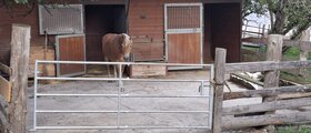 Kuhn Gemüsebau