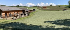 Stall Murimoos