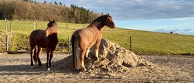Landwirtschaft mit weit-blick.ch