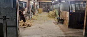 Stall Eicher