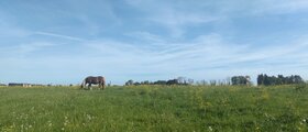 Bäniker Ranch