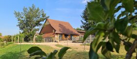 Pensionsstall Spittelhof