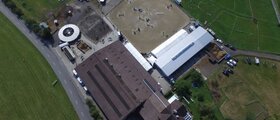 Gestüt Wichenstein