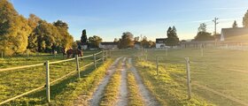 Reitclub Konstanz Paddock- und Innenboxen zu vermieten