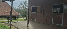 Auslaufbox in kleinem Privatstall