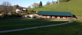 Buechbuehls Zucht und Ausbildungsstall