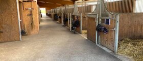 Herzlich Willkommen bei der Pferdepension mit Herz - Paddockbox frei!