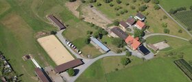 Nähe Zug, Gruppenhaltung in Freilaufstall