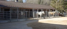 Pferdeboxen in Lamboing Berner Jura zu vermieten ab sofort