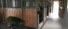 Pferdeboxen mit Auslauf zu vermieten Einzelhaltung oder Gruppenhaltung