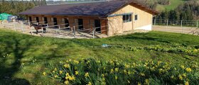 Pferdepension Bieri, Sumiswald BE