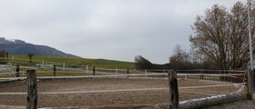 Pferdepension im Zürcher Weinland
