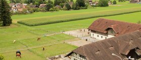 Pferdesportanlage Bünte
