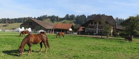 Pferdezentrum Grossmatt